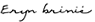 Eryn brinie(COLLECTED)