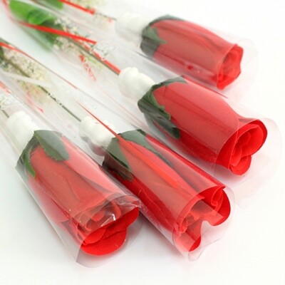 [패션플러스][더블유쇼핑]프로포즈 한송이 장미 조화 10p세트 선물용장미꽃_15826581_588404(588404_15826581_588404)