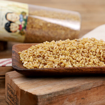 [패션플러스][부지런한농부][부지런한농부]정성으로 가꾸어낸 호라산밀 800g(682624_726781)