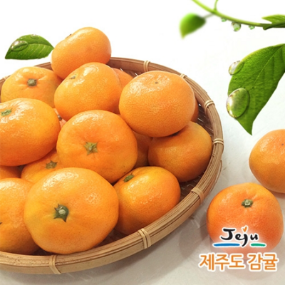 [패션플러스][올찬농산][올찬] 노지감귤 10kg (2L) 7080과 내외 / 대과 _ 제주직송(686215_624226)