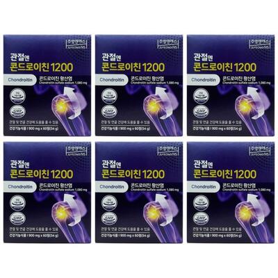 [패션플러스][주영엔에스]주영엔에스 관절엔 콘드로이친 1200 60정, 6개 (48038068)(736469_48038068)