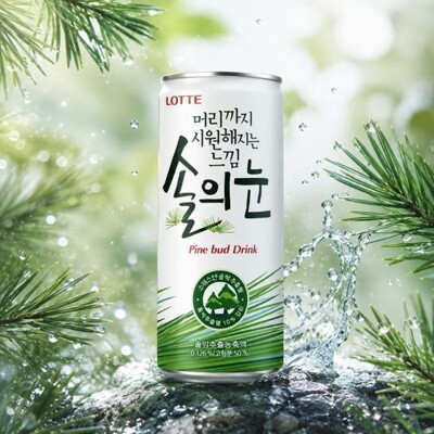 [패션플러스][케이티알파쇼핑]롯데칠성음료 솔의눈 240ml x 15개입 캔 음료수(744558_11534926)