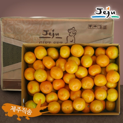 [패션플러스][올찬농산]제주 올찬농산 하우스감귤 선물세트(소과) 10kg (121-188과 내외)(749887_588023)