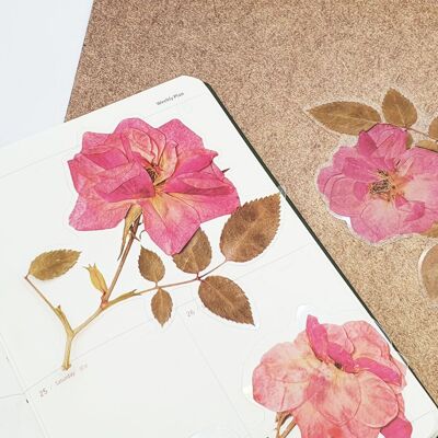 [패션플러스][브이와이]스티커 드라이 꽃스티커 F PET스티커 플라워(568134_VCMQ6YHO)