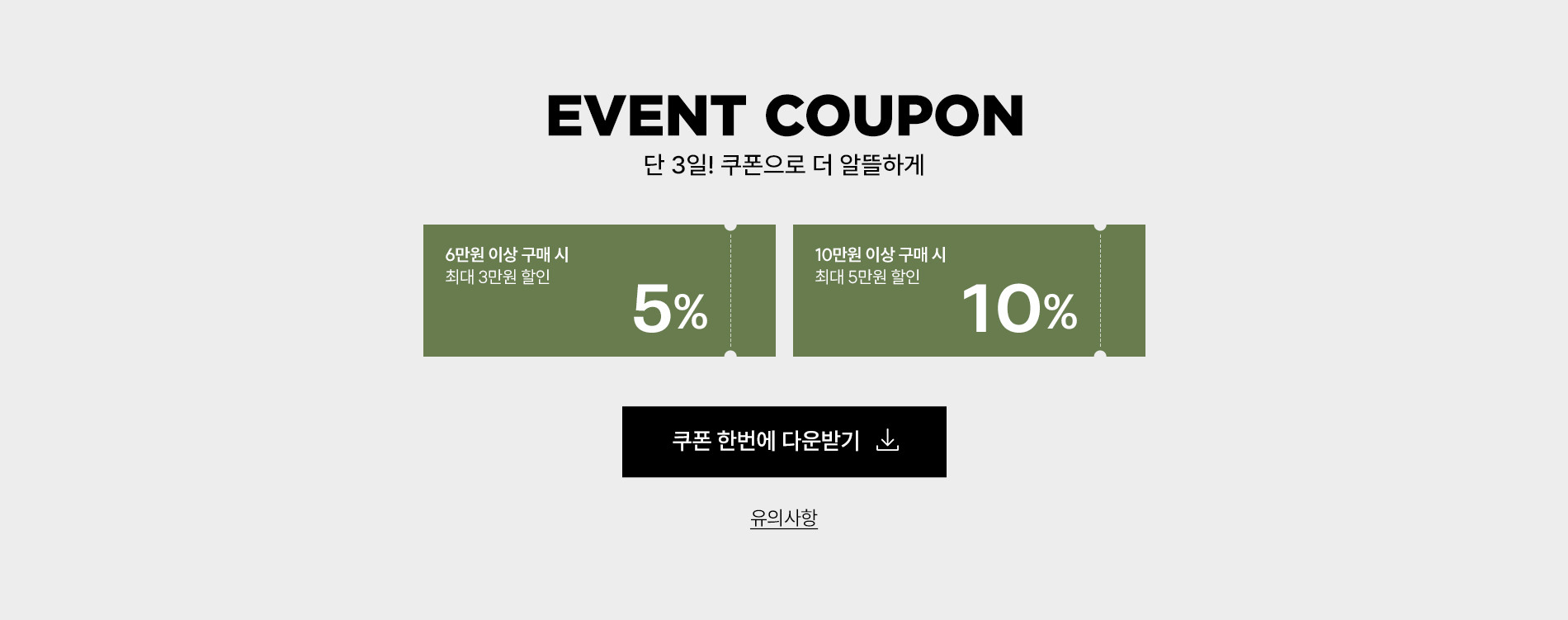 앤드지│폴햄│프로젝트엠 外 윈터 프로모션