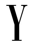 Y