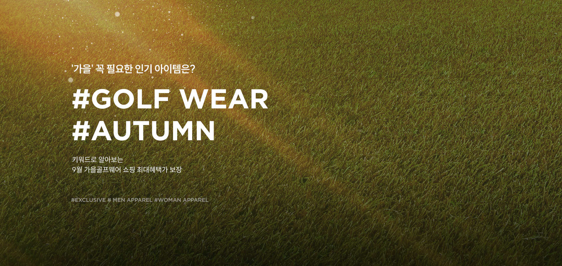 상단이미지01