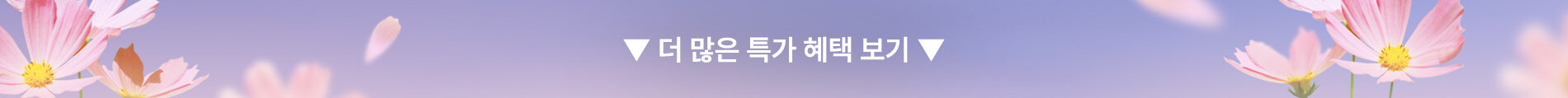 제품더보기